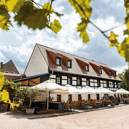 Weingut Schuh - Pension Zur Bosel Coswig  Zewnętrze zdjęcie